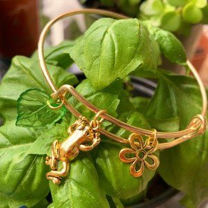 Lucky and Spiritual Frog bracelet
